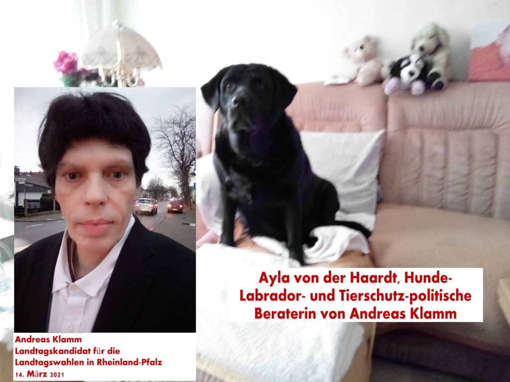 Landtagswahlen mit Hürden: "DIE LINKE macht politische Teilhabe auch bei Landtagswahlen in Rheinland-Pfalz möglich" Andreas Klamm ist Landtagskandidat für die Landtagswahlen im Rollstuhl. 14. März 2021